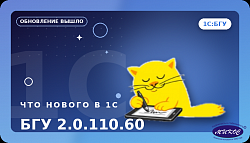 Что нового в «1С:БГУ 2.0.110.60»: усиленный контроль остатков и новый акт приемки